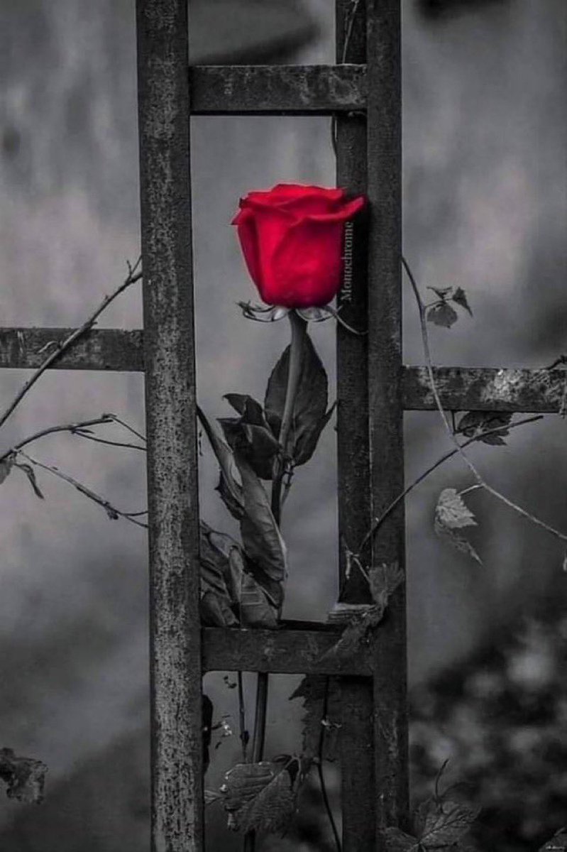 حين تشعر أن المنافذ جميعها مغلقة .. سيصلُ إليك لُطف الله من المنفذ الذي تظن بانه من الُمستحيل ! كُـن مع الله ولا تبالي..

#صباح_الخير_والسعاده