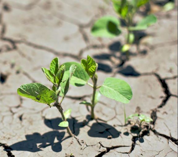 kayserianadolu's tweet image. Tarım ve Orman Bakanlığı merak edilen 33 soruyu yanıtladı – İşte sorular ve cevapları!

kayserianadoluhaber.com.tr/tarim-ve-orman…

#tarımveormanbakanlığı #planlama