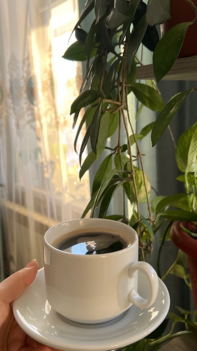 refoo45's tweet image. إن مسرّات الحياة كلها في كوب قهوة . .