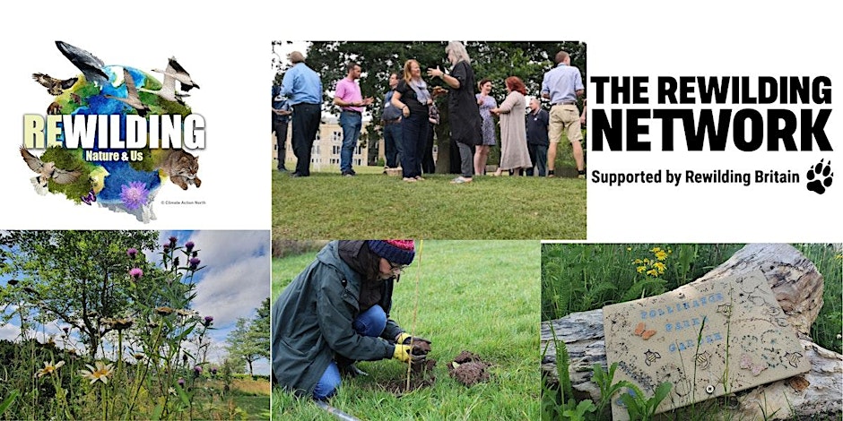 Climate Action North (@climateactionne) on Twitter photo Still tickets available for our NE Rewilding Network Gathering happening 5th December sponsored by <a href="/RewildingB/">Rewilding Britain</a> - book a place and join us for exciting updates, talks from brilliant #land and #marine projects and even festive #rewilding shopping too!ππππΌ
eventbrite.co.uk/e/north-east-rβ¦ Still tickets available for our NE Rewilding Network Gathering happening 5th December sponsored by <a href="/RewildingB/">Rewilding Britain</a> - book a place and join us for exciting updates, talks from brilliant #land and #marine projects and even festive #rewilding shopping too!ππππΌ
eventbrite.co.uk/e/north-east-rβ¦