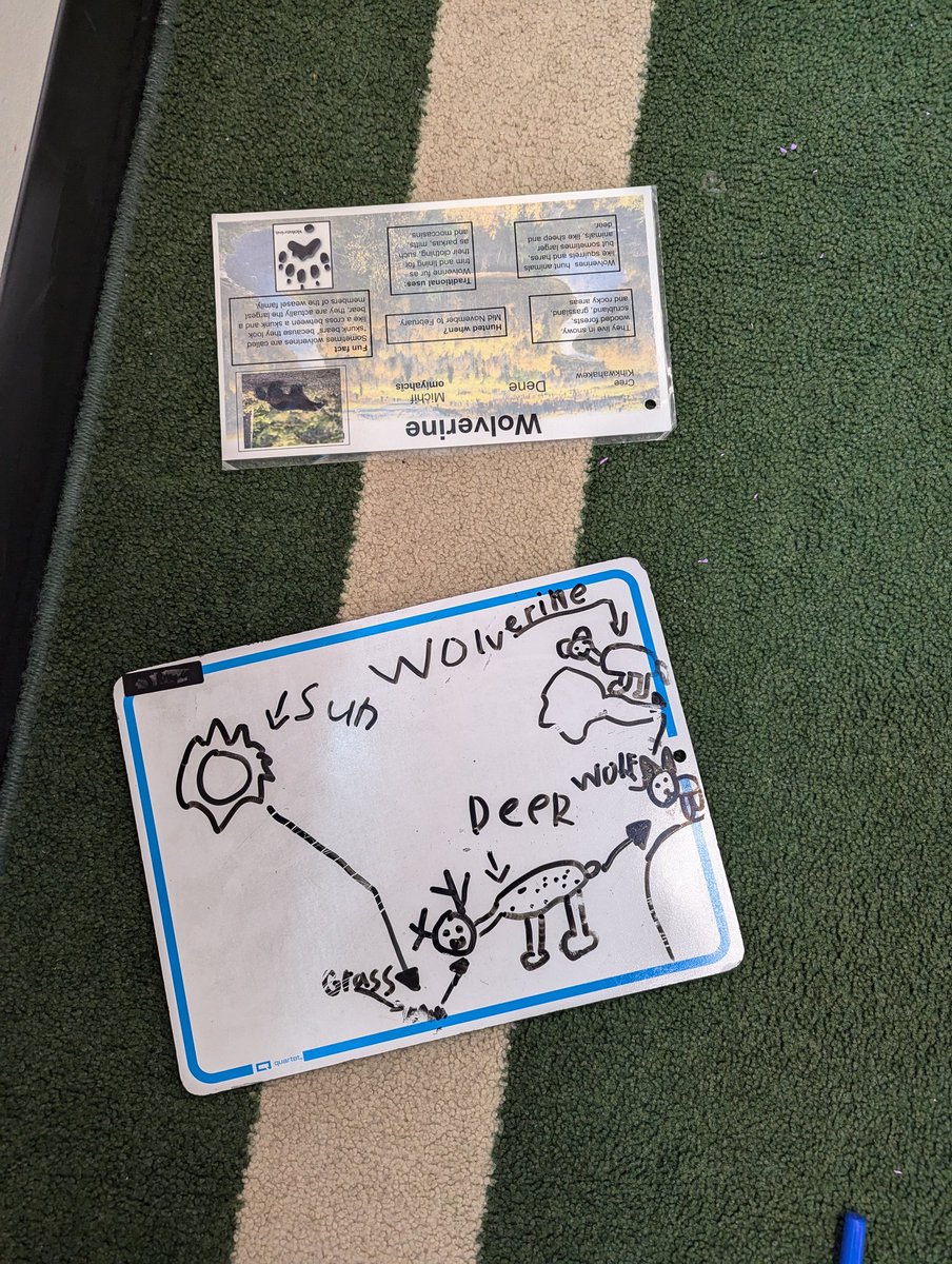 Ms Barrington tweet media