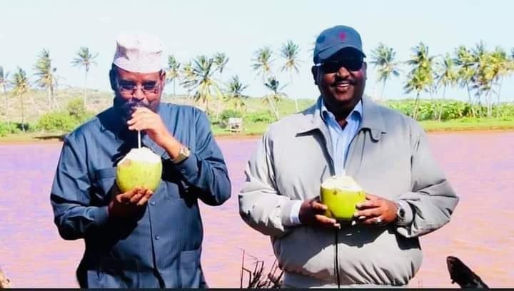 It’s a shame that when federalism is under attack by anti-federalist forces, only these two gentlemen show up to save the day. The rest? Just decorative paperweights pretending to lead, with no say in Somali politics!  

#PunJub  is back again to save the country 🤷‍♂️