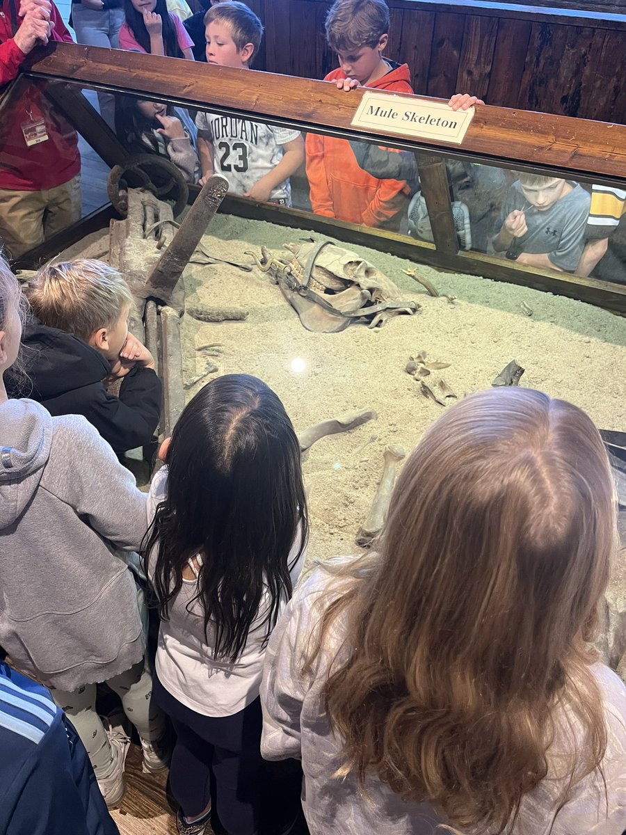 Sarah Hartmann tweet media