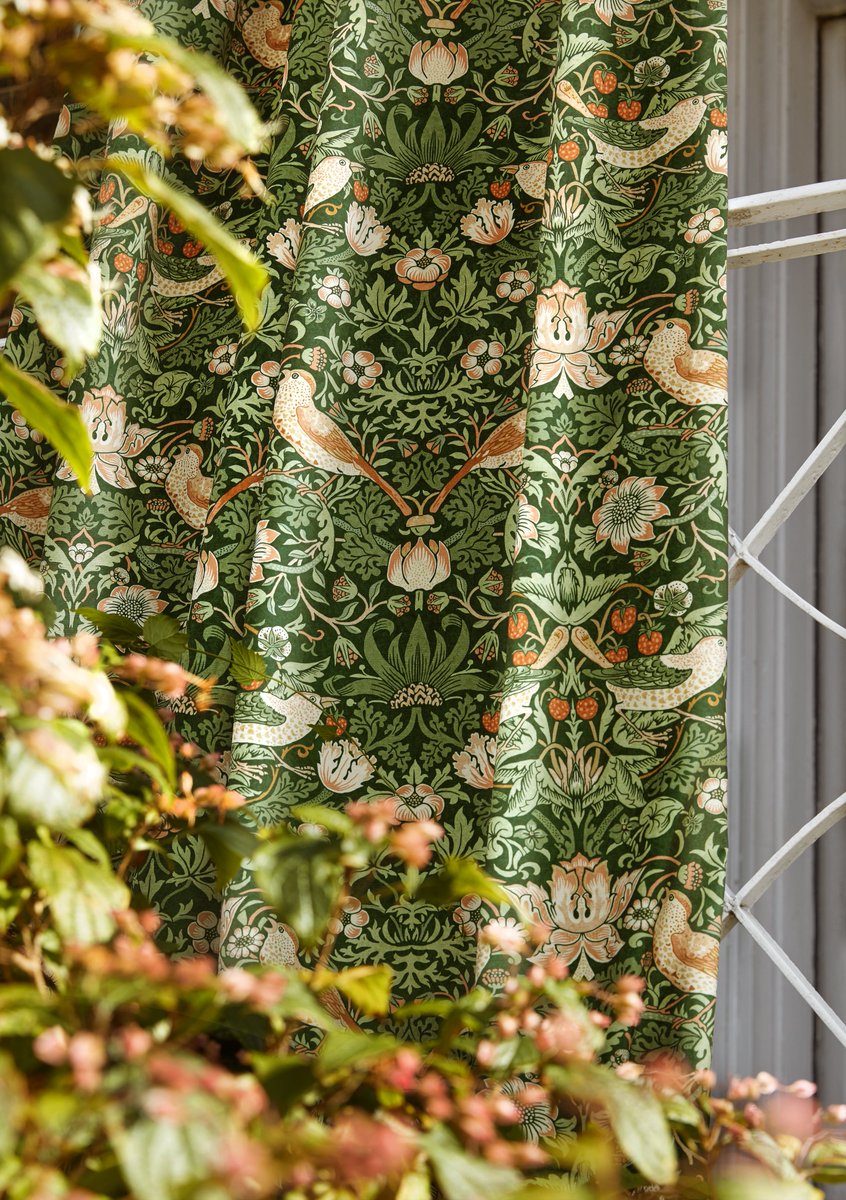 This iconic print Strawberry Thief has been updated with a modern palette &amp; is available in three versions; a printed velvet, a print &amp; a tone-on-tone woven guaranteed to bring William Morris into your home
#designersgallery #stout #williammorris #williammorrisathome