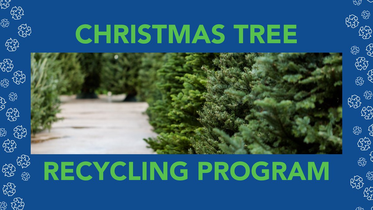 🎶 Oh Christmas tree, it's time to recycle you sustainably! 🎶

🎄The Christmas Tree Recycling Program runs January 6 - 18. Bring your tree to one of 13 locations on Saturdays, January 11 and 18 or to a Sanitation Convenience Center Monday - Saturday