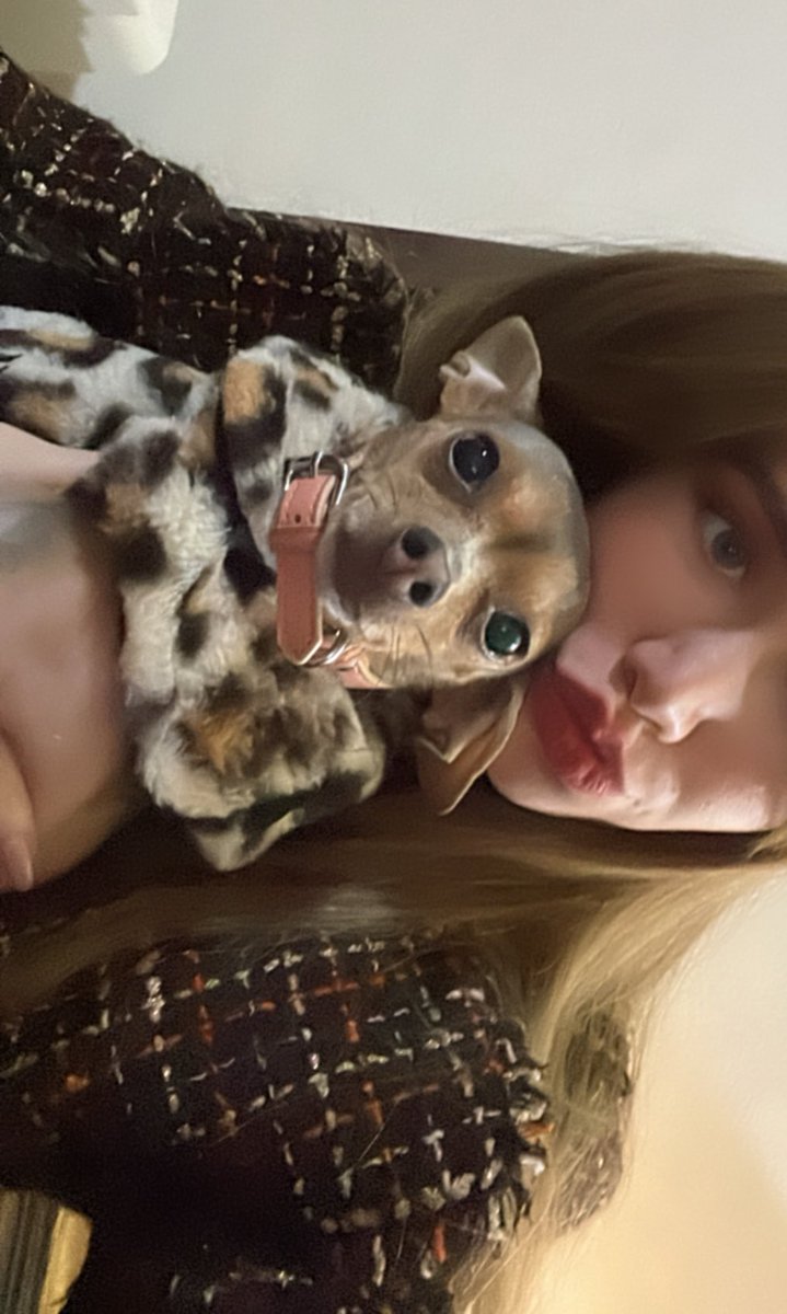 ReneeMarielll's tweet photo. Mi niña dejas un vacío enorme en toda nuestra familia, gracias por todos los momentos de alegría y tu amor incondicional, te amo con todo mi corazón y espero ansiosa encontrarnos de nuevo🕊️ te amo para siempre Caly💛 https://t.co/wBdobXp8f3