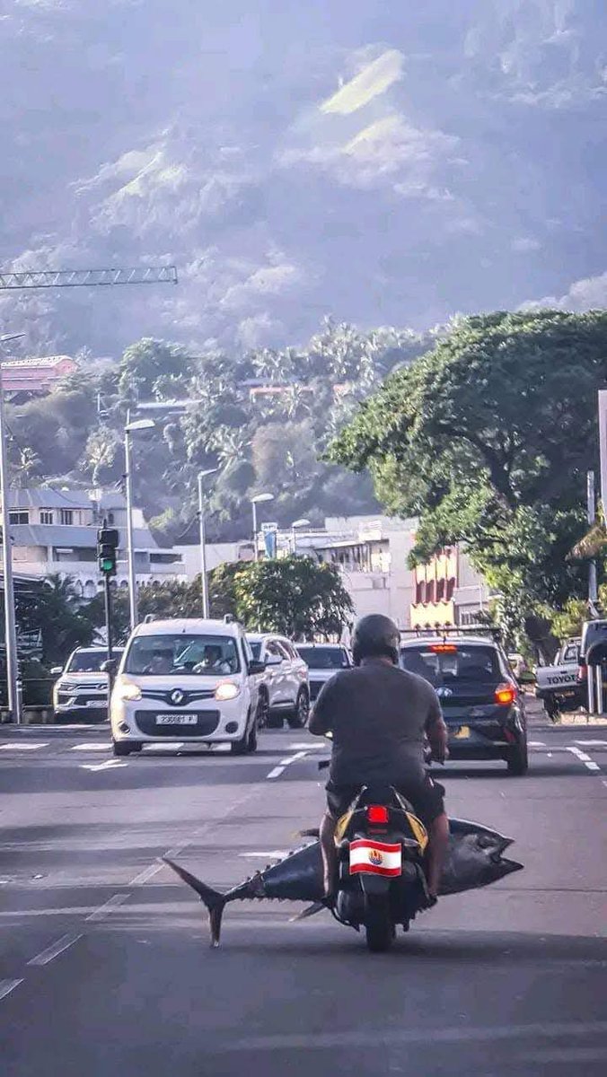 Tu sais que tu es en Polynésie lorsque tu vois passer un thon sur un scooter.🤪🤪🤪