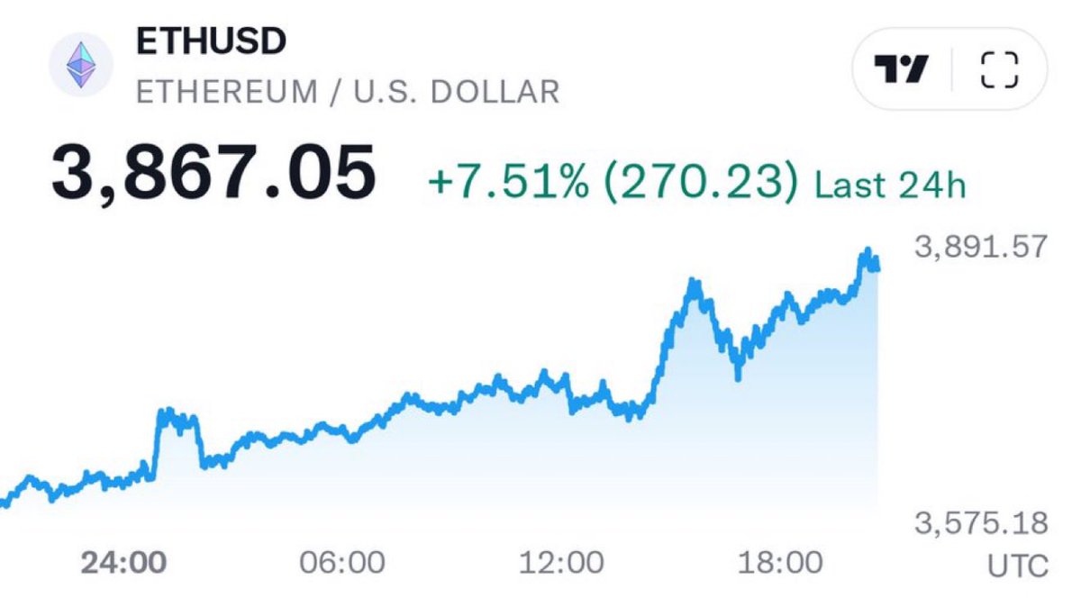 GM to all the degens who’ve awoken from hibernation for the bull run (and anyone else who lost their login details for over a year 💀)