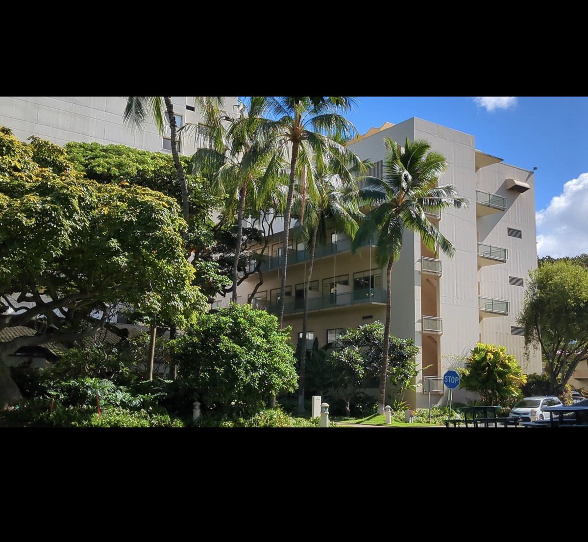 Blue stop sign at the Queens Medical Center Hawaii.  First iphone chanes primary heart color to pink..now this?  Is this a Fear of red from leftists?