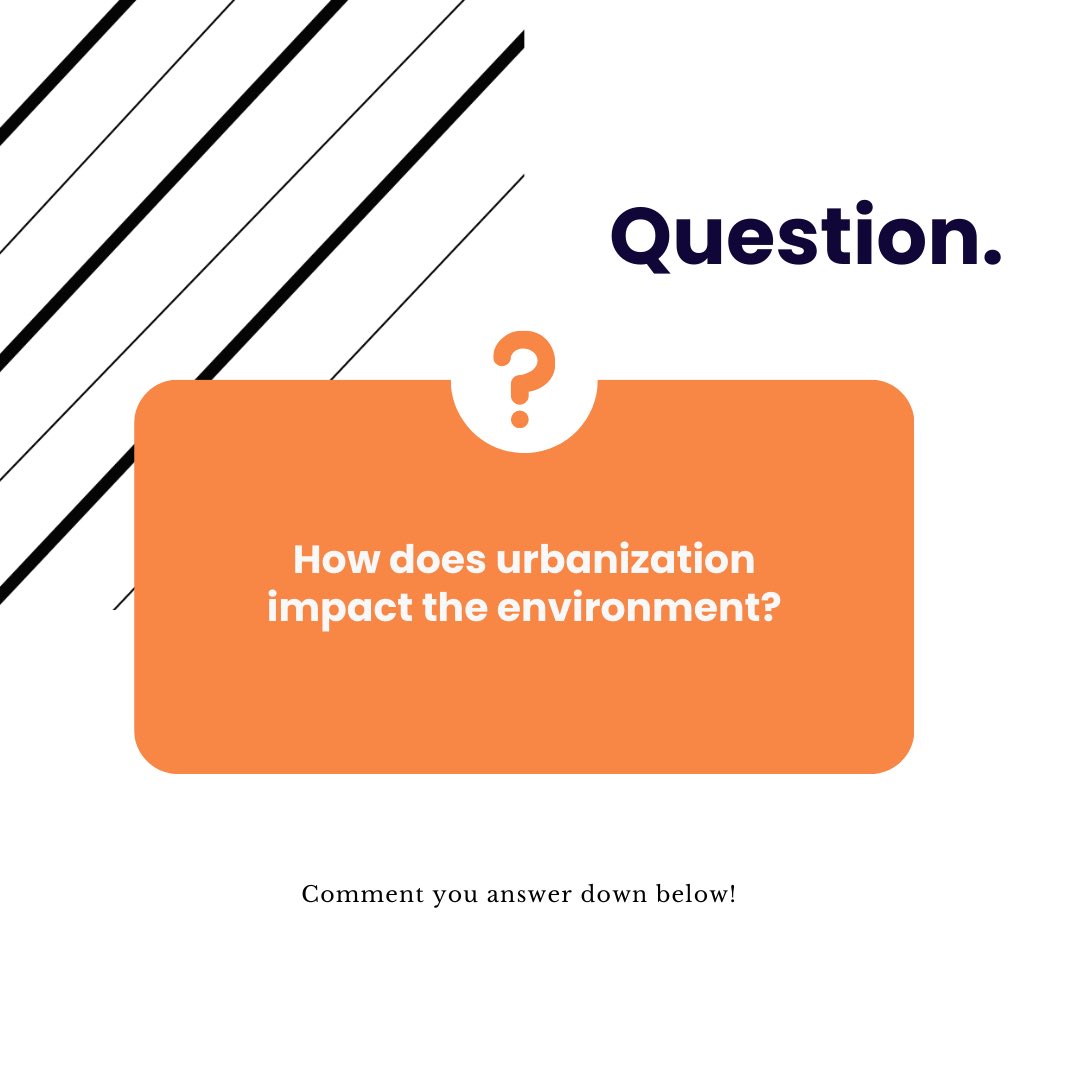 ItsEarthava's tweet image. Urbanization brings progress, but it also raises some serious questions about our planet! 🌿✨ How do we find harmony between city life and nature? Let’s chat about it! #UrbanImpact #NatureVsNurture #EcoFriendly
