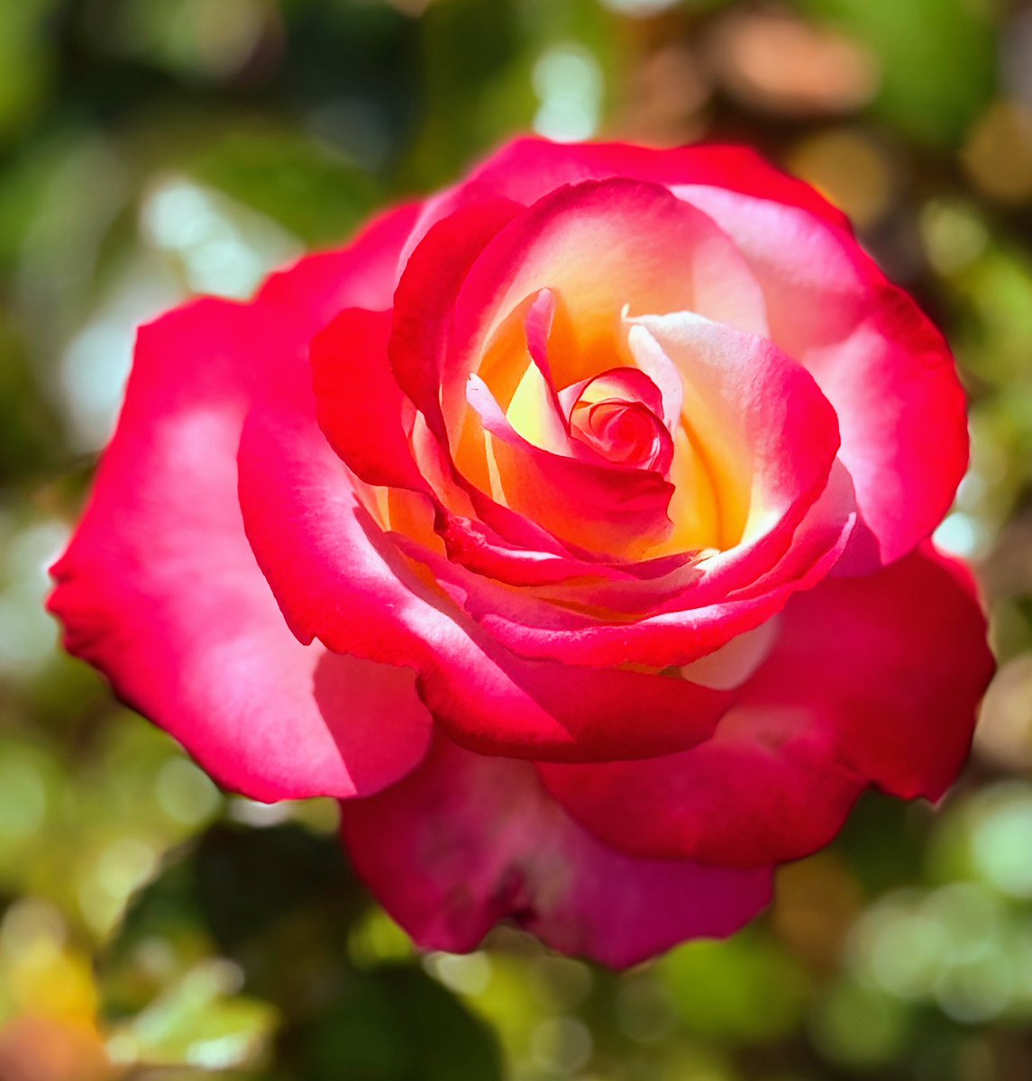 Just past the sidewalk; in the middle of urban hell, look what’s growing!