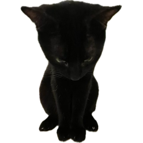 i just lost 20 followers what happened