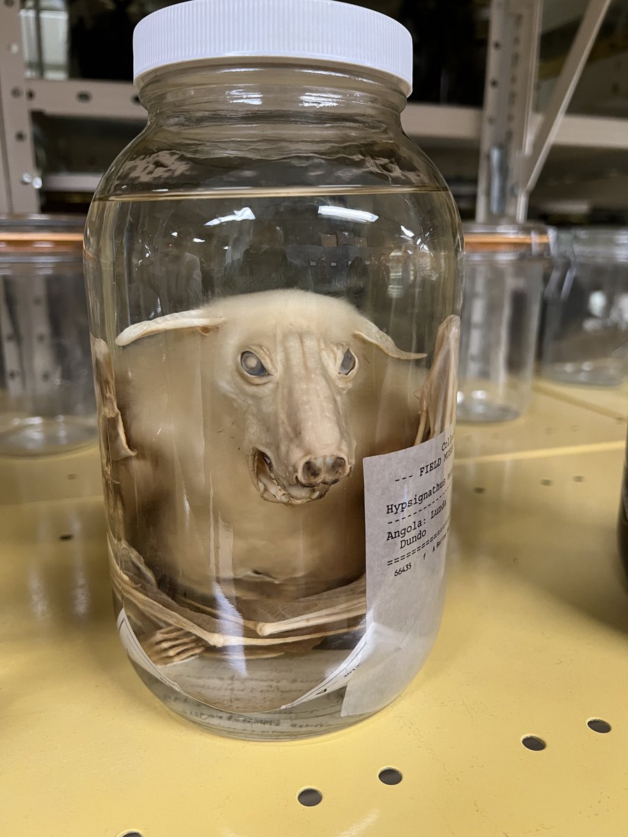 Dear Thommy 💘 tweet media