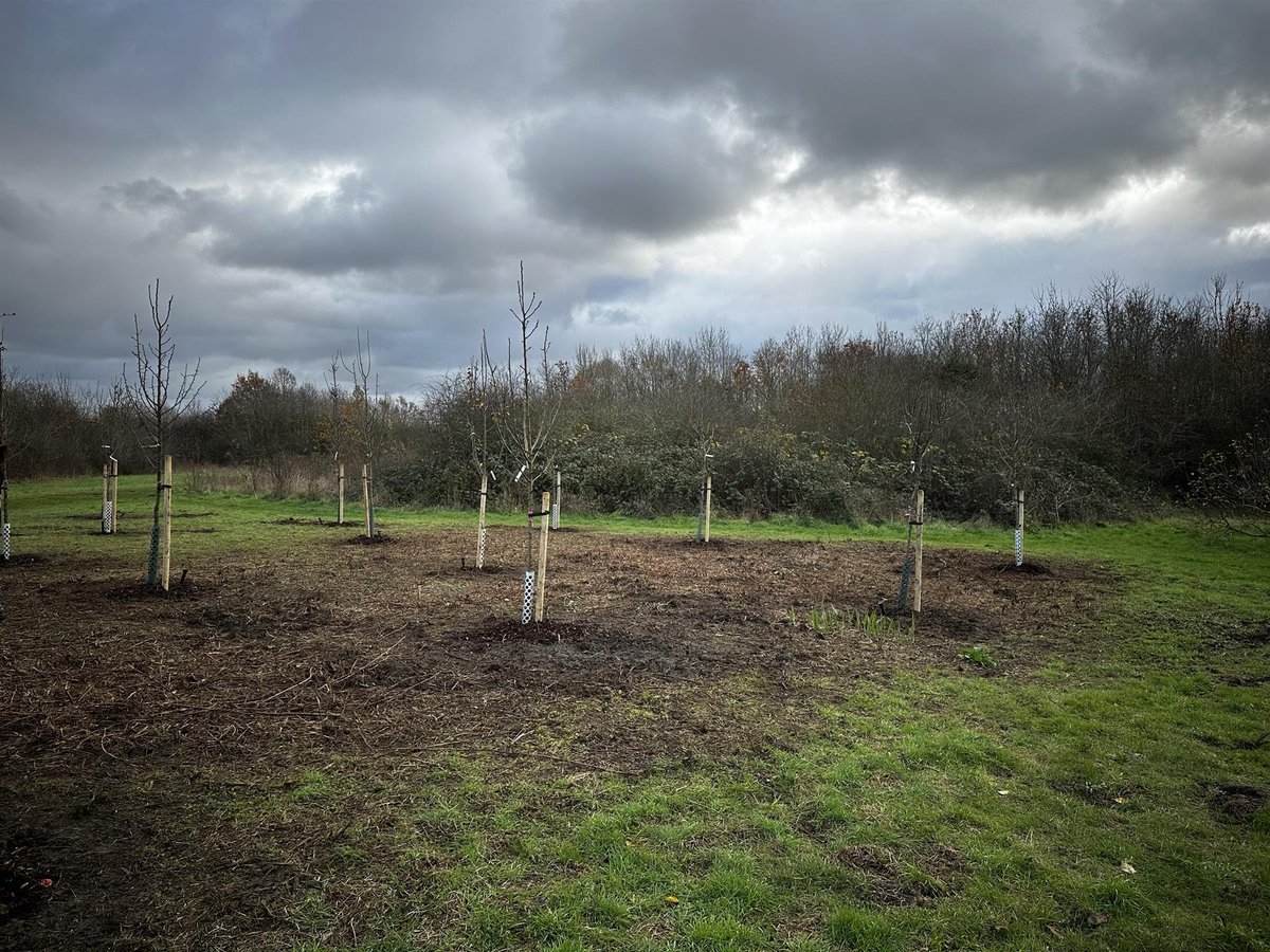 🌿Sophia, our Community Engagement Officer, has been out meeting amazing groups funded by the Crane Valley Partnership Community Fund!  Here she is with <a href="/Gurseva_London/">Gurseva</a> planting trees at Bedfont Lakes! Huge thanks to everyone protecting our open spaces!