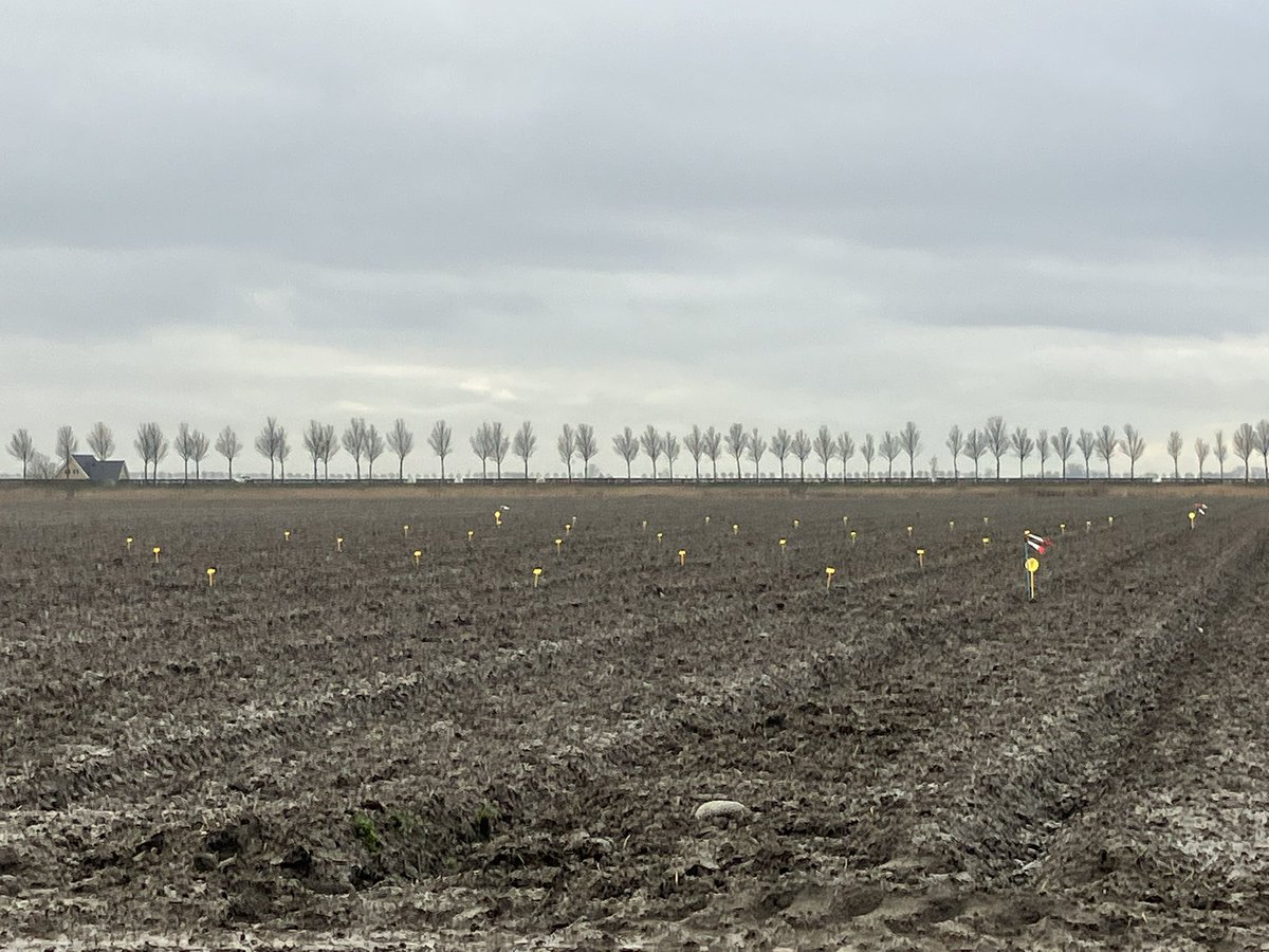 janvanderslik tweet media