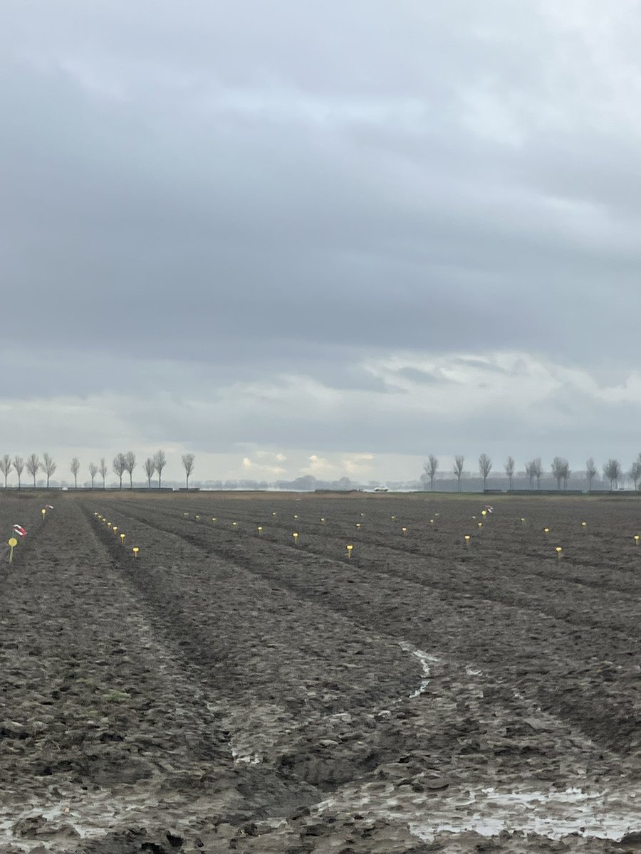 janvanderslik tweet media