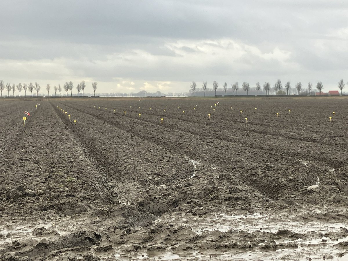 janvanderslik tweet media