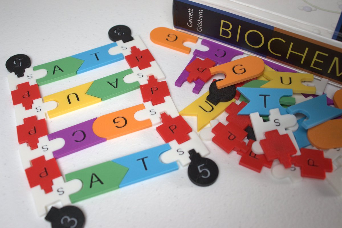 AtTheBenchtop's tweet image. I just can't shake the teaching bug! 
So I decided to indulge it and bring what's on paper to life!

AtTheBenchtop.com  is a resource for all teachers, schools, and students to find teaching aids that take their curriculum and understanding to the next level. #BlackInStem