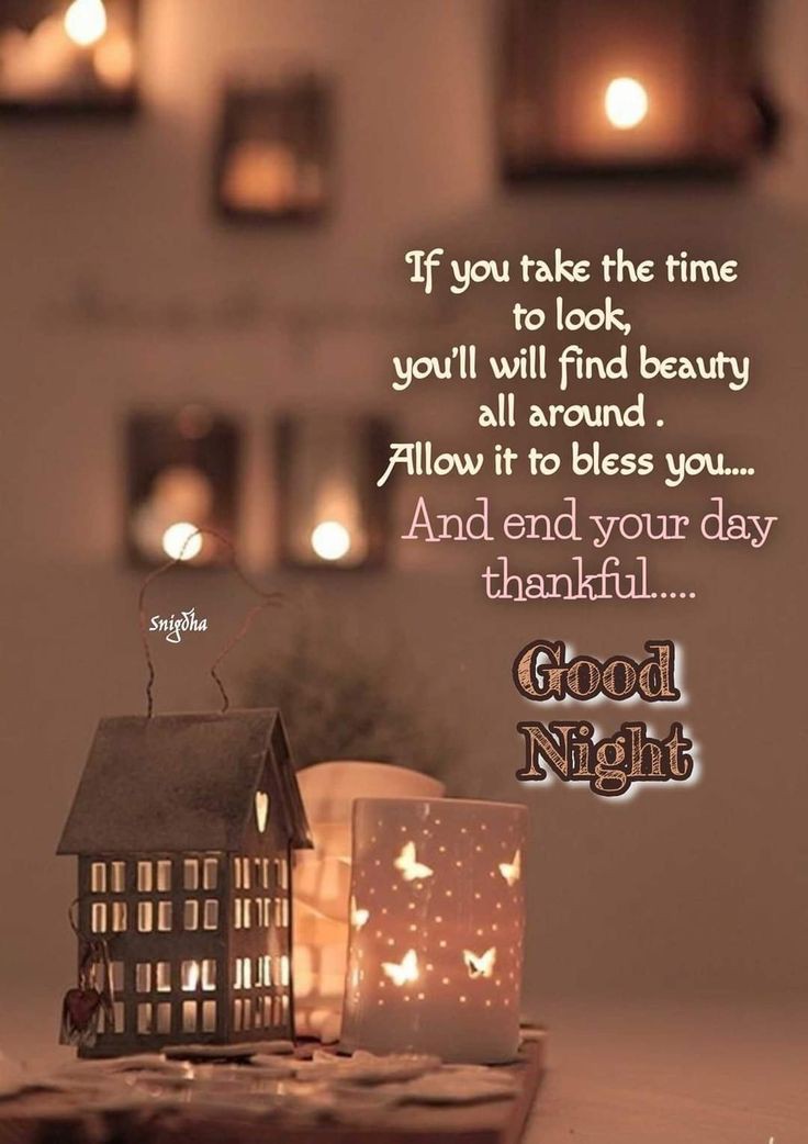 Hαɳα (@hana1955778) on Twitter photo 