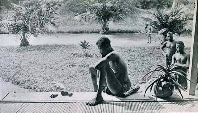 earth_tracker's tweet image. 8. A father stares at the hand and foot of his five-year-old daughter severed as a punishment for failing to make the daily rubber quota, Belgian Congo, 1904.