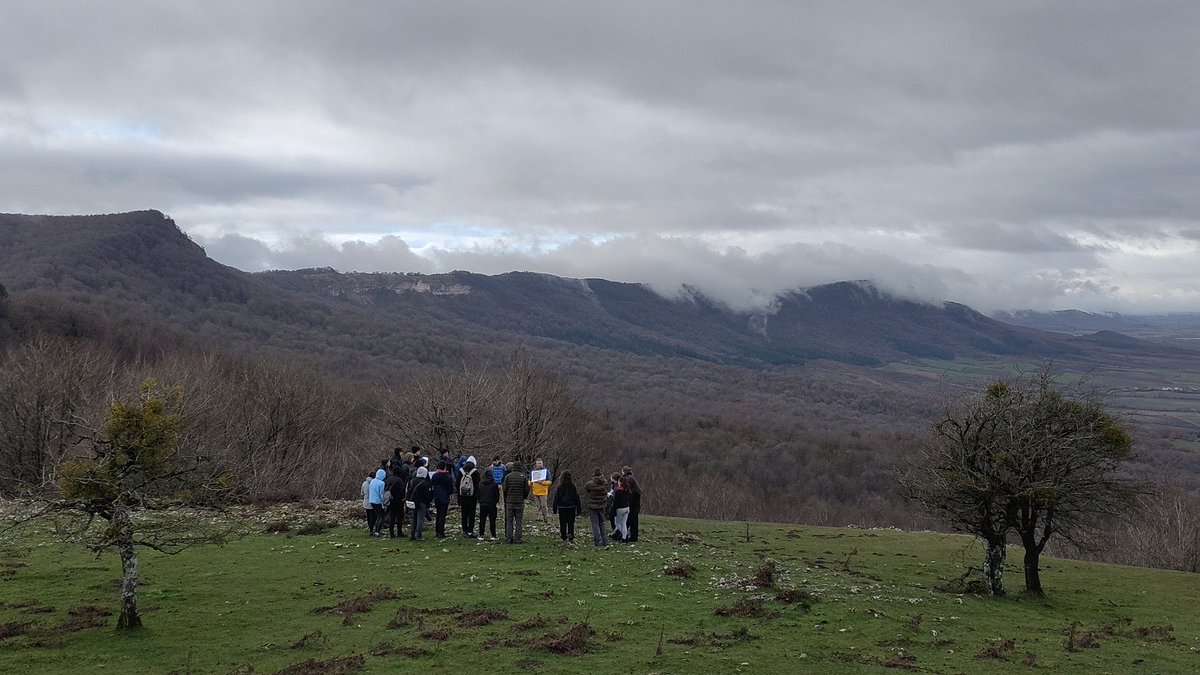 Josu Aranbarri tweet media