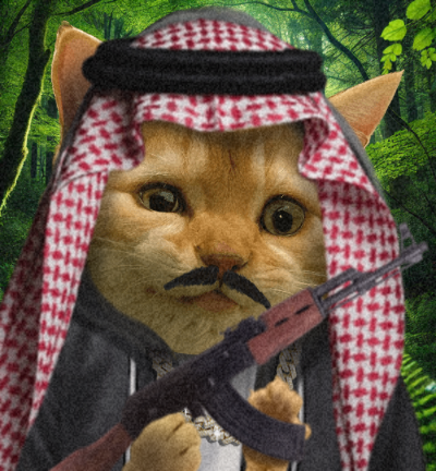 seppevanheeke's tweet photo. @DamiDefi This cat is so sexy it's gonna do da moony woony https://t.co/oO6DoowMZs