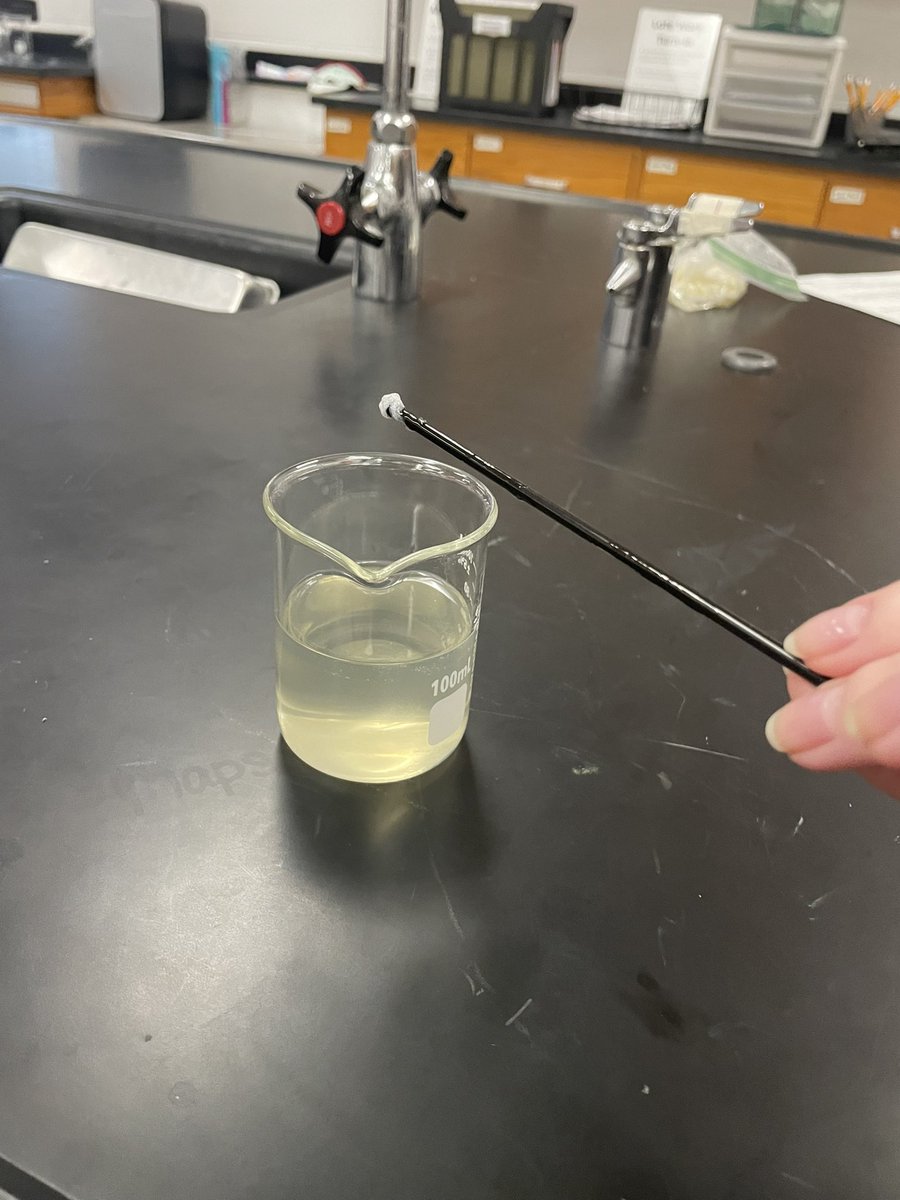 Before DNA can be analyzed, it must be extracted or pulled out of the sample. Our Forensics students learned how to complete a DNA extraction procedure today!