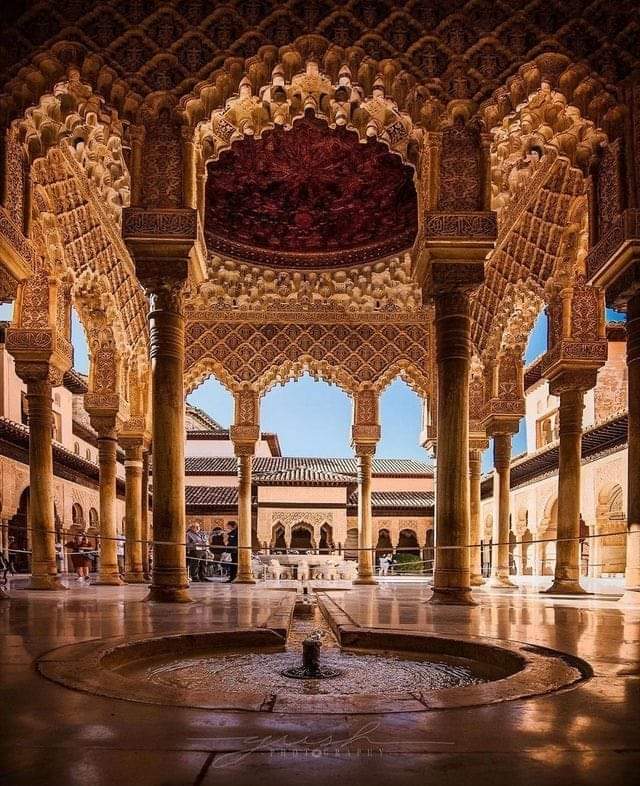 mosa_alktaifan's tweet photo. بهو الأسود .. قصر الحمراء .. الأندلس. https://t.co/yCoBzAiw1r