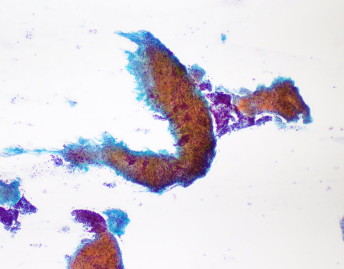 Vanda Torous MD tweet media