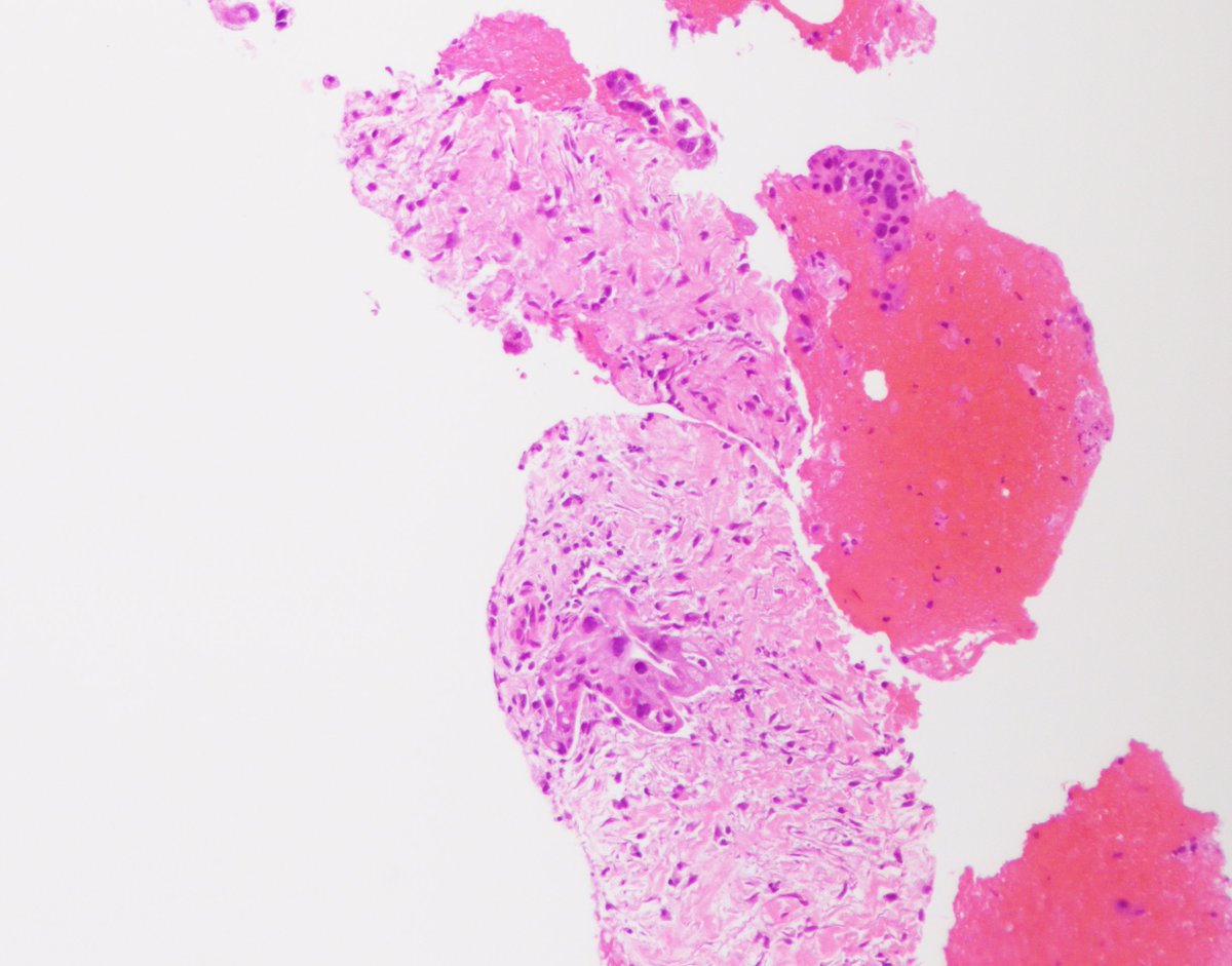 Vanda Torous MD tweet media