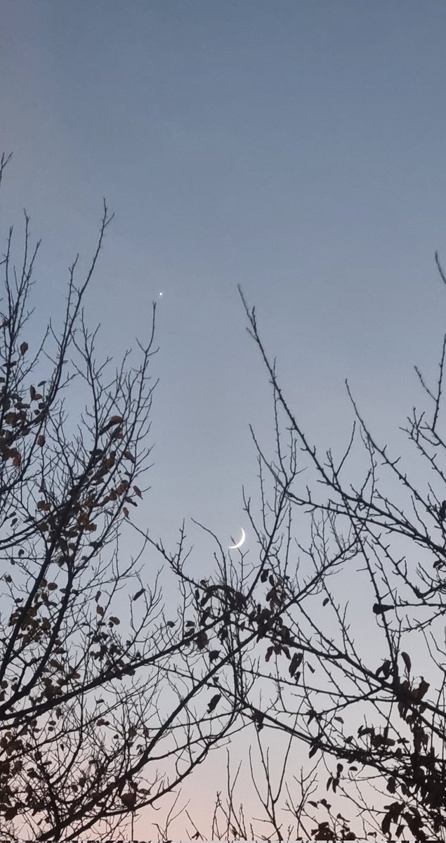 Yengeç burcuyum diye mi bilmiyorum ama ayın her halini çok seviyorum, yıldızıyla da bambaşka güzel ⭐️🌙