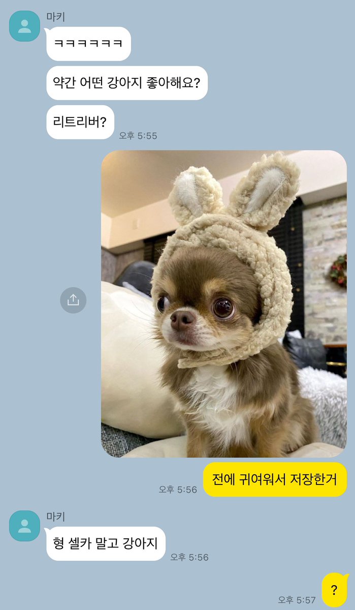 dogcarban's tweet photo. 맠쭈 https://t.co/j2tQF4iTaD