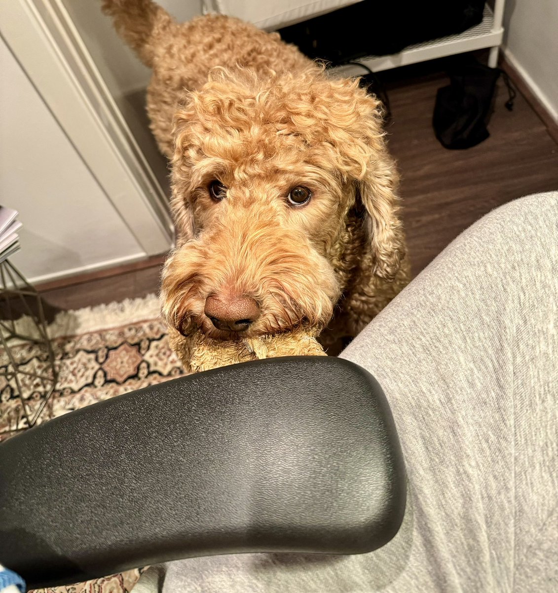Jason Mikula (@mikulaja) on Twitter photo When you’re prepping to host a webinar for <a href="/FintechMeetup/">Fintech Meetup</a> but it’s supposed to be play time When you’re prepping to host a webinar for <a href="/FintechMeetup/">Fintech Meetup</a> but it’s supposed to be play time