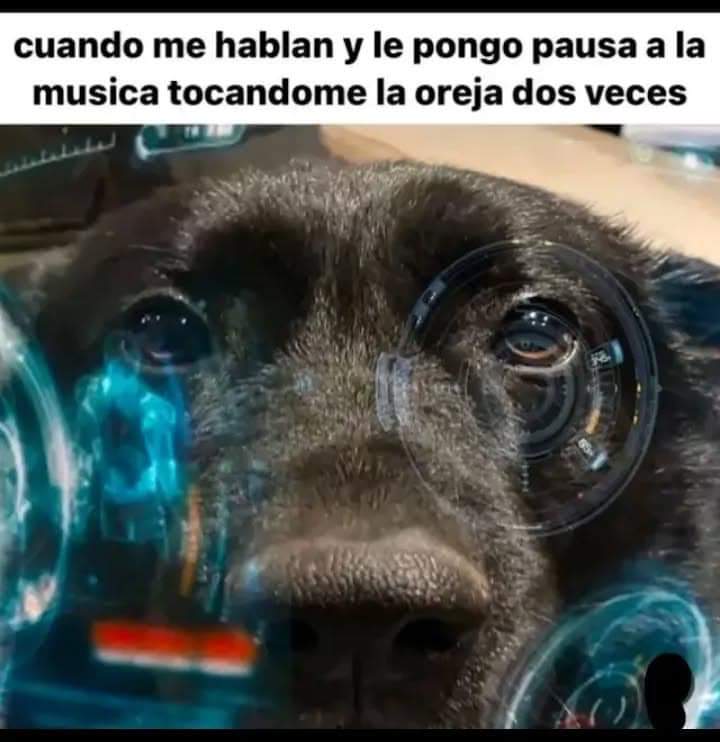 Shitpost Aleatorio tweet media