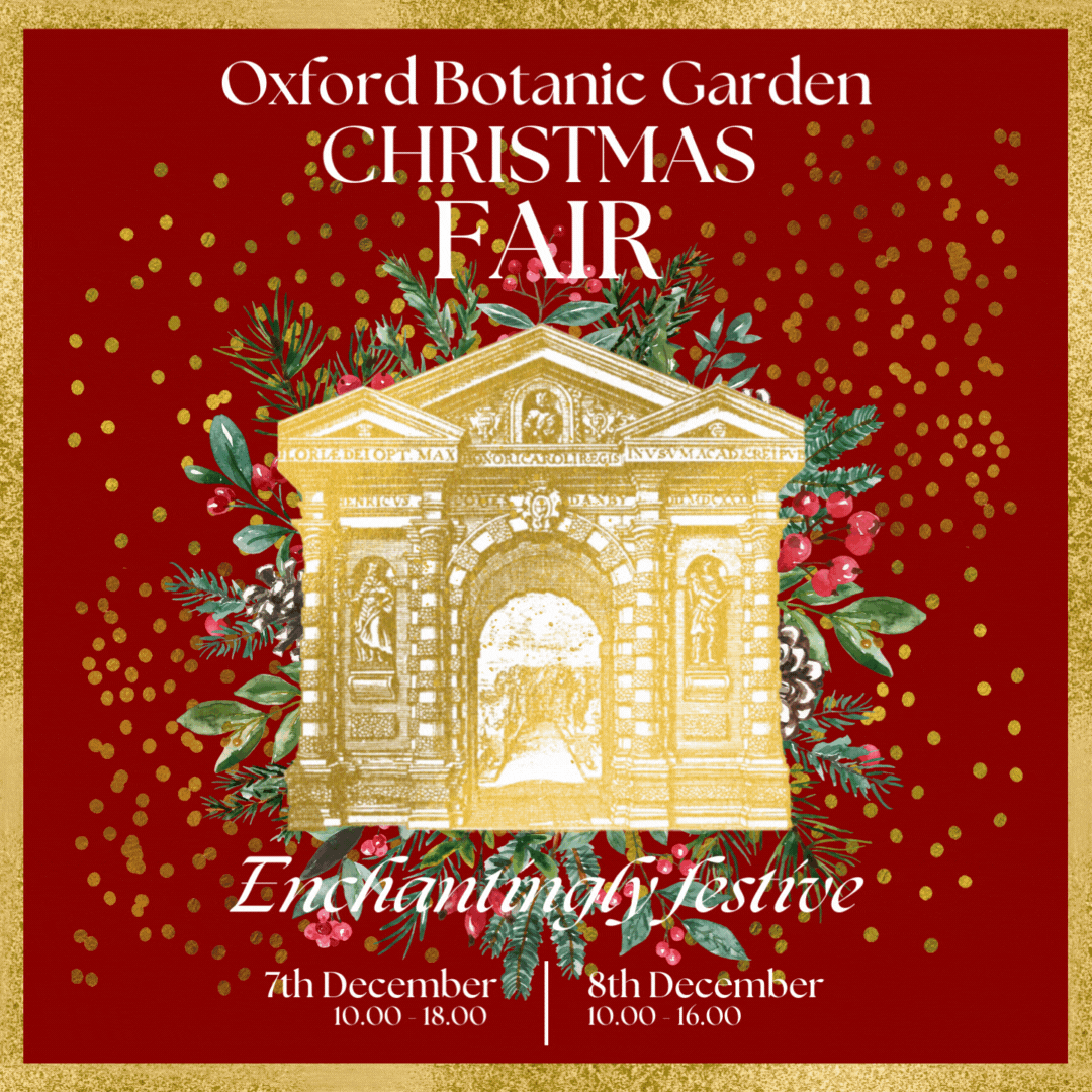 Paper Haveli tweet media