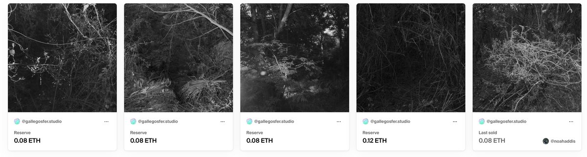 woods
foundation.app/collection/woo…