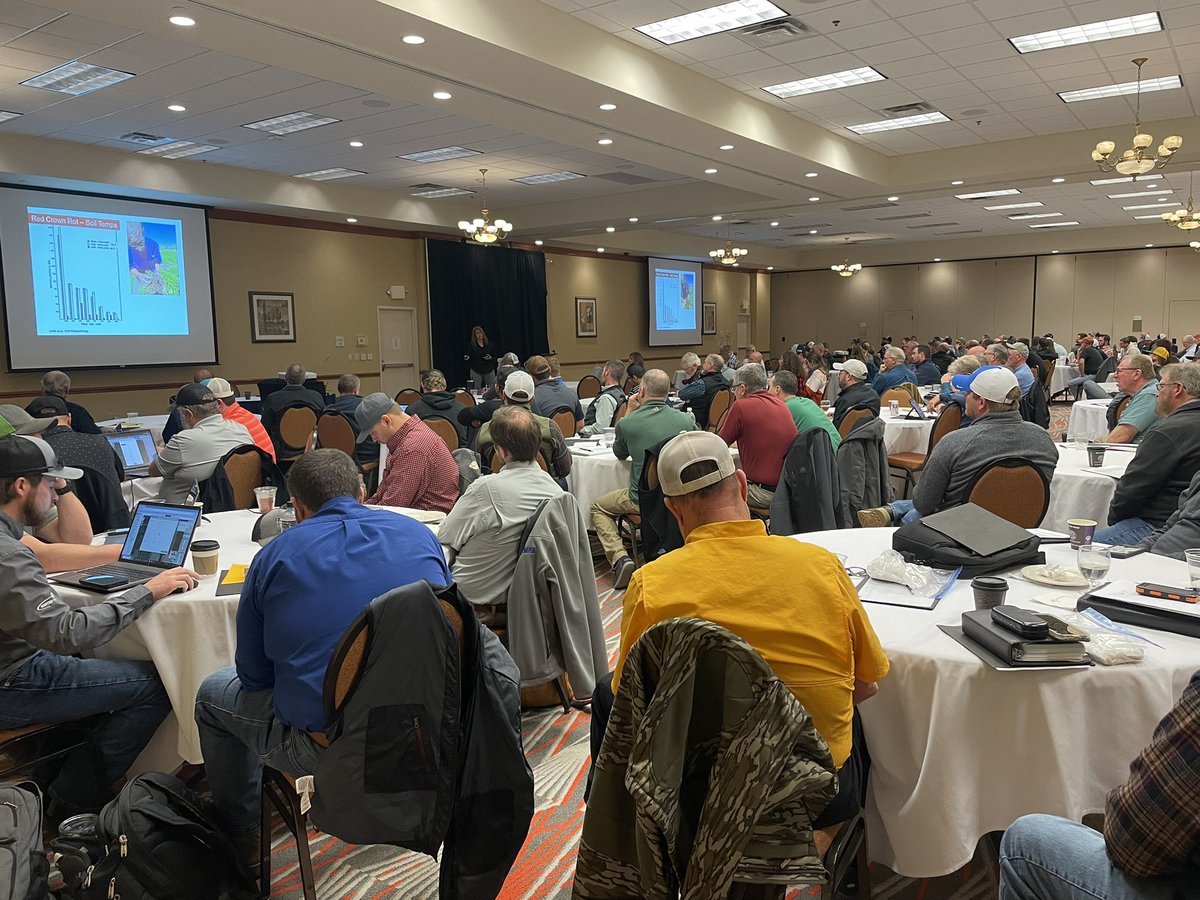 Mizzou Weed Science tweet media