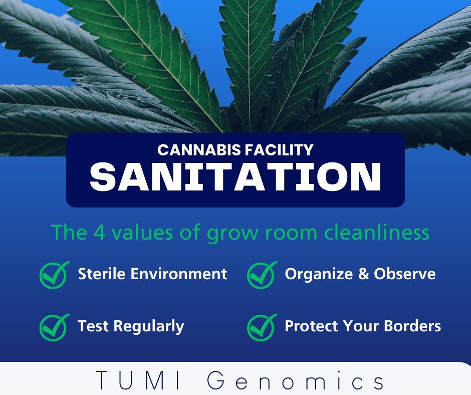 🔬 TUMI Genomics tweet media