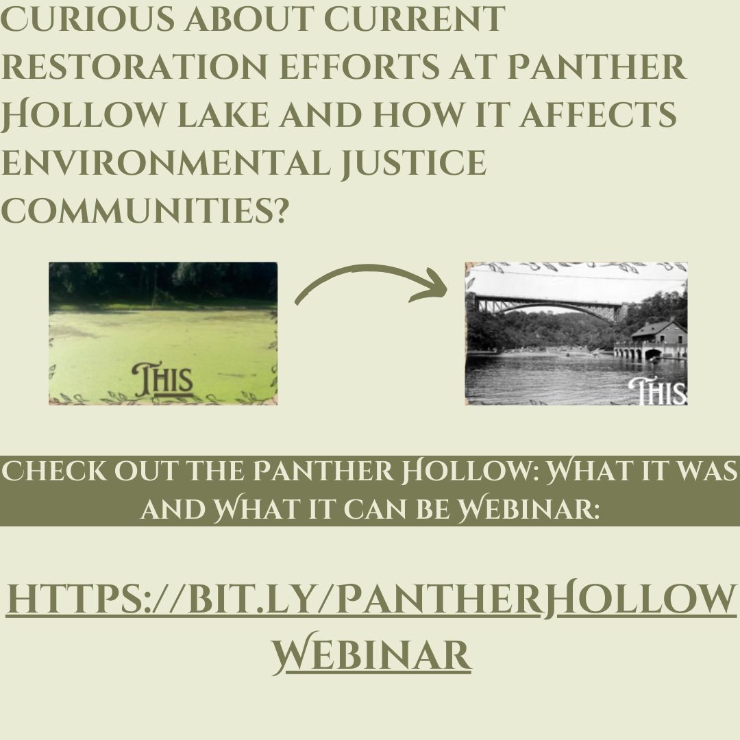 Curious about current restoration efforts at Panther Hollow Lake and how Panther Hollow affects Environmental Justice communities? Check out the recording of the Panther Hollow: What it Was and What It Can Be Webinar Recording! bit.ly/PantherHollowW…