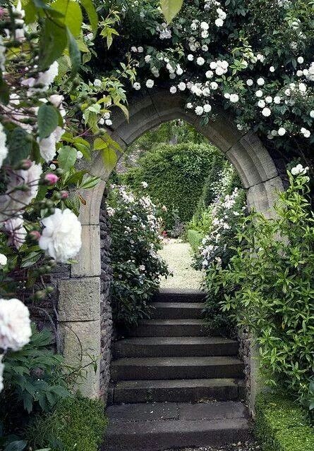 regencyspirit's tweet image. Life 🌿