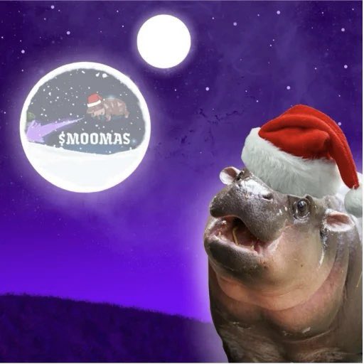 moqty's tweet photo. @Ashcryptoreal THE ONLY THING THAT SHOULD BE PUMPING IS $MOOMAS 
Christmas themed moodeng? Hell heah. We coming for the moon gents. Dont miss out 
$moomas https://t.co/FQaVkfprj5