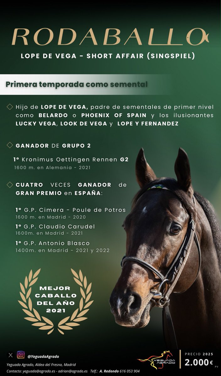 Nos complace anunciar la incorporación de 𝙍𝙊𝘿𝘼𝘽𝘼𝙇𝙇𝙊 en su primera temporada como semental 🇪🇸

El hijo de 𝙇𝙊𝙋𝙀 𝘿𝙀 𝙑𝙀𝙂𝘼 (𝙎𝙃𝘼𝙈𝘼𝙍𝘿𝘼𝙇) cubrirá en nuestra yeguada por un fee de 𝟮.𝟬𝟬𝟬€ PV

¡Bienvenido campeón!

#YeguadaAgrado #Rodaballo