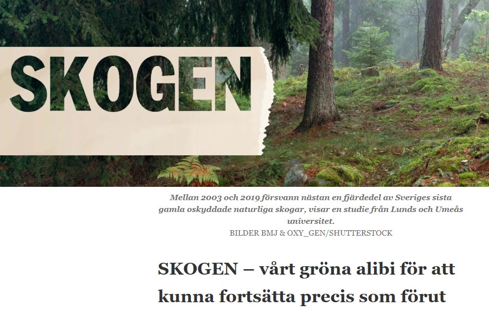 Trist. trist. Medan vi diskuterar skogsbruk här på X  osv, fortsätter svenska skogar med mycket höga naturvärden att avverkas. 

 "Mellan 2003 och 2019 försvann nästan en fjärdedel av Sveriges sista gamla oskyddade naturliga skogar, visar en studie "  

etidning.etc.se/p/dagens-etc/2…