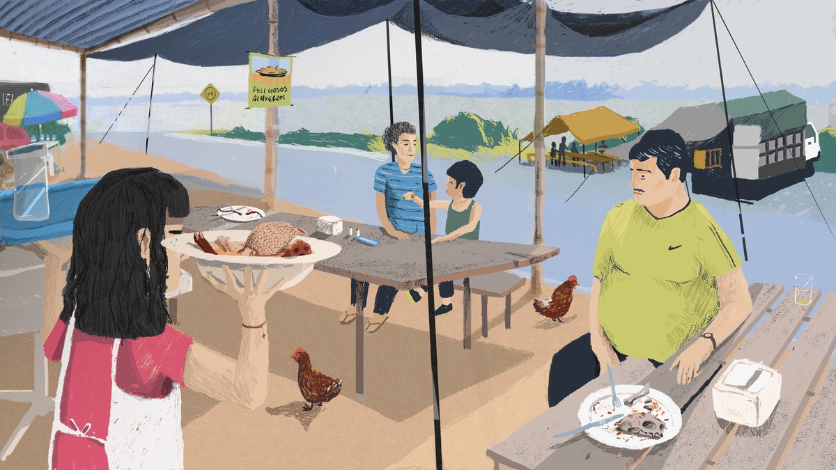BitacoraAmbiental (@bitacoraec) on Twitter photo 🇪🇨 En las provincias amazónicas de Pastaza y Sucumbíos, restaurantes clandestinos ofrecen carne de guanta, armadillo y venado como manjares exóticos.
A pesar de estar prohibido por la ley, el comercio sigue activo.
Un especial de <a href="/BaudoAP/">Baudó Agencia Pública</a> @ddrn_dk <a href="/GKecuador/">GK</a> <a href="/TierraDeNadieEc/">TierraDeNadieEC</a> 🇪🇨 En las provincias amazónicas de Pastaza y Sucumbíos, restaurantes clandestinos ofrecen carne de guanta, armadillo y venado como manjares exóticos.
A pesar de estar prohibido por la ley, el comercio sigue activo.
Un especial de <a href="/BaudoAP/">Baudó Agencia Pública</a> @ddrn_dk <a href="/GKecuador/">GK</a> <a href="/TierraDeNadieEc/">TierraDeNadieEC</a>