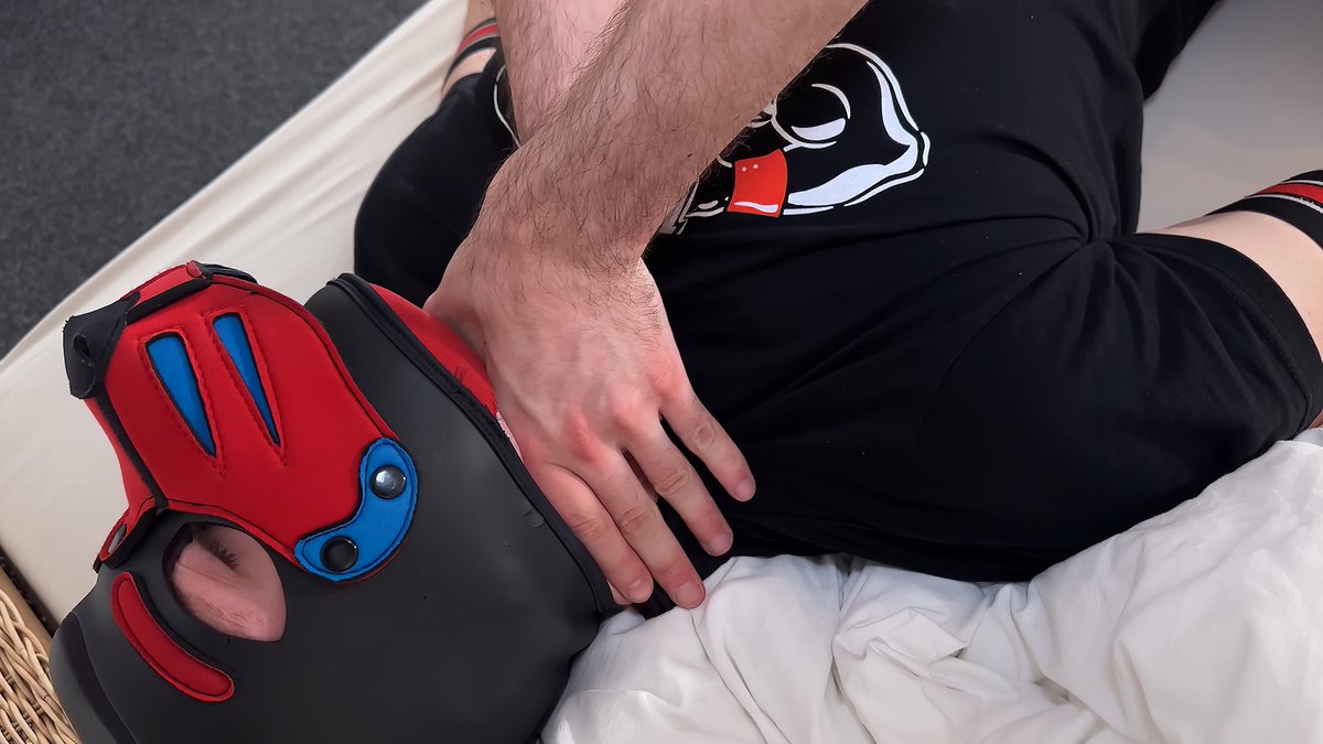 Logan Stonewood 🔜 Darklands tweet media