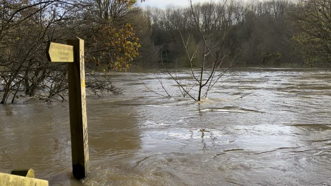TheBristolCable's tweet photo. 🛶 "Rivers are rights-bearing beings that deserve to have a voice in our decision-making structures – and to be treated as life-sustaining ecosystems, not vessels to carry away human waste."

Full story: https://t.co/jX1sbmF6E0 https://t.co/ecJBQLWS60