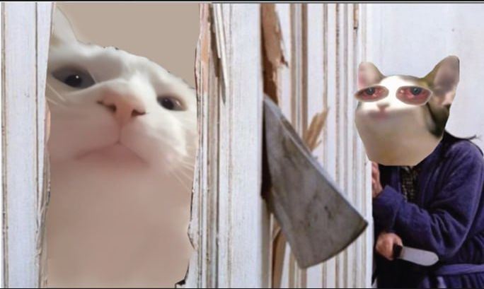 Vibe Cat tweet media