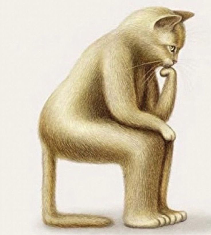 ja próbująca wymyślić najbardziej randomowy numer żeby z nikim nie mieć tego samego