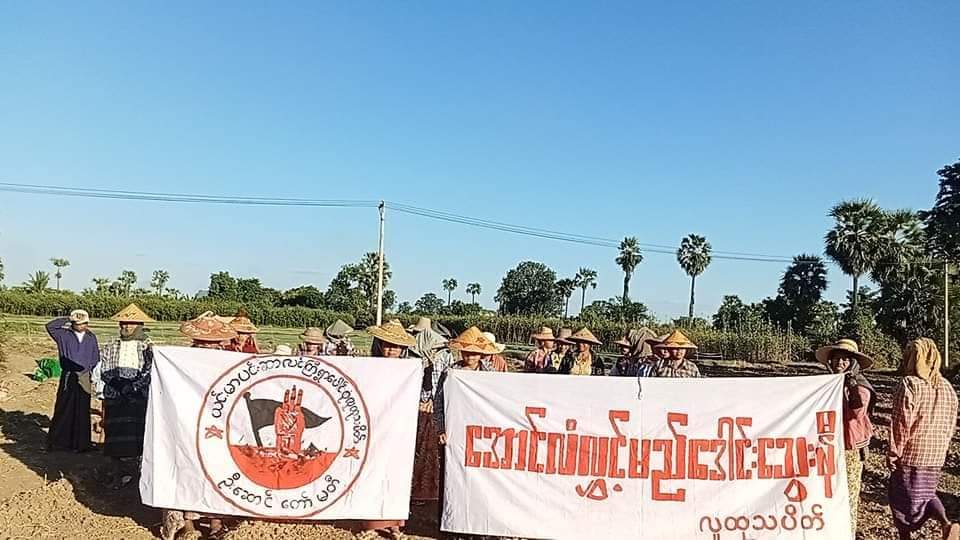 Little Activist tweet media