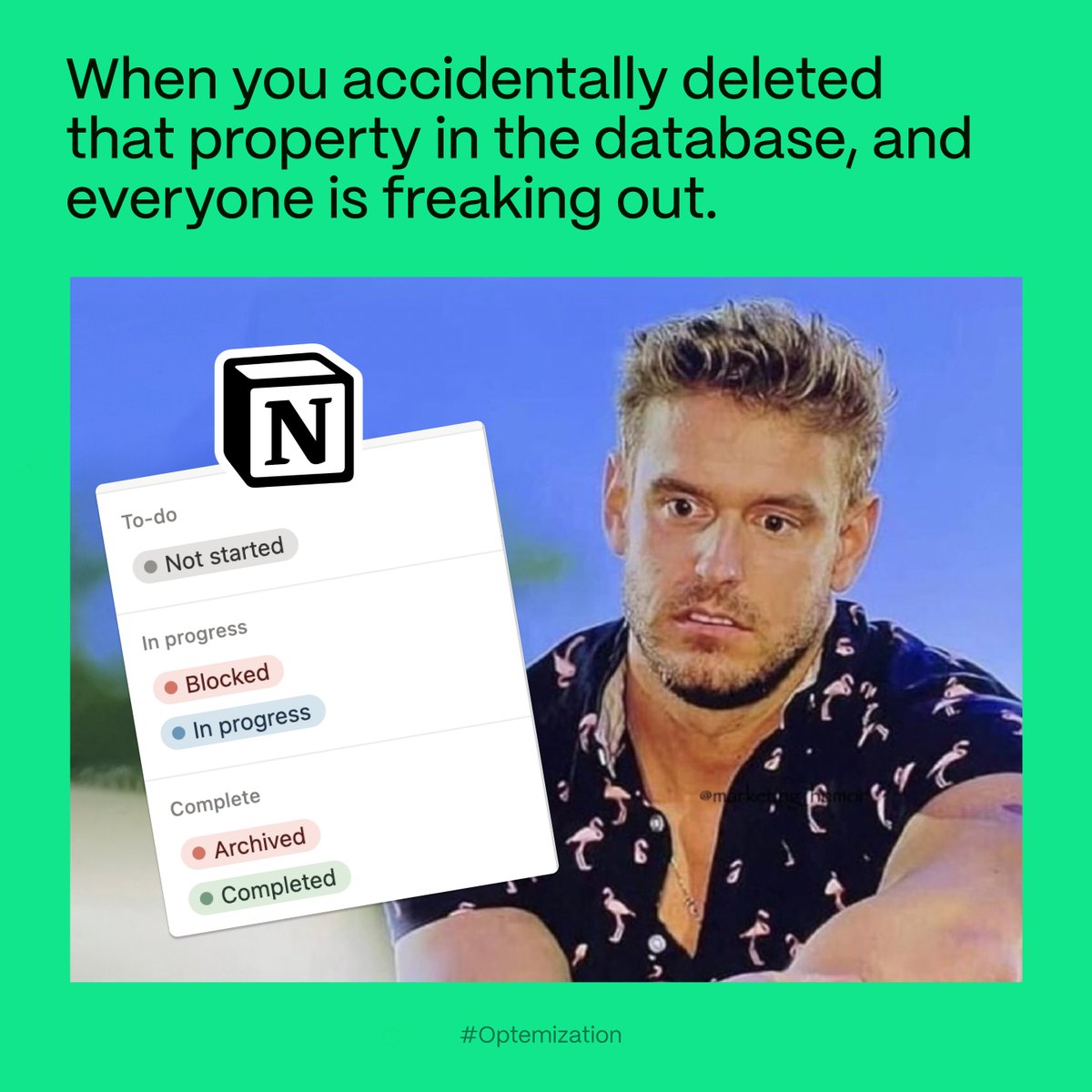 Optemization tweet media